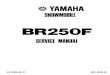 Yamaha BR250 Bravo Snowmobile Service Manual (2)