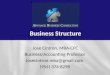 Business structure 1