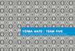 Launching Yerba Mate Start-Up: VYM