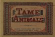 Tame Animals