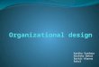 Organizational Design (1) (1)2