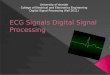 ECG Digital Signal Processing