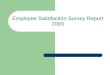 Employee Satisfaction Survey Presentation