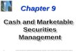 502331_Cash and Marketable Securities Management