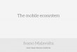 The mobile ecosystem and development strategies