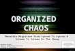 Organized Chaos: Metadata Migration on the Cheap