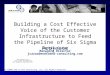 Building a Cost Effective Voice of the Customer Infrastructure to Feed the Pipeline of Six Sigma Projects