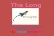 The long tail complete