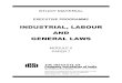 Industrial, labour and General laws