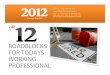 Top 12 Career Barriers 2012