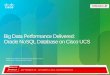 Big Data Performance Delivered : Oracle NoSQL DataBase on Cisco UCS