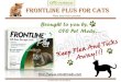 Frontline plus for cats