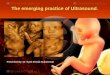 The emerging practice of ultrasound