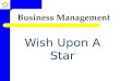 Wish Upon A Star Presentation Final