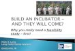 Why You Need An Incubator Feasibility Study!