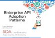 Enterprise API Adoption Patterns