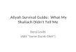 Benji Lovitt Aliyah Survival Guide: What My Shaliach Didn’t Tell Me
