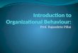 Chapter 1  Organizational Behaviour