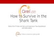 How to Survive in the Shark Tank