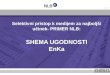 mag. Nataša Tomc Jovović // Selective approach to the media for maximum impact: the study case of Enka