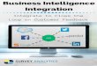 Guide: Business Intelligence Integration