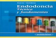 Endodoncia. Técnica y fundamentos - Soares, Goldberg