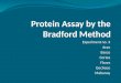 Protein Assay by the Bradford Method Finale