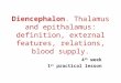 Diencephalon Thalamus and Epithalamus