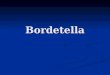 Bordetella Modified 2012