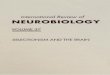 International Review of Neurobiology Vol. 37 (1994)