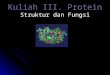 Kuliah III- Protein 2010