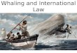 Whaling and International Law
