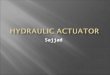 Hydraulic Actuator 2003