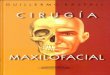 Cirugia Maxilo Facial- Guillermo Raspall