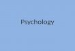 Year 10 psychology second semester