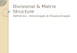 Divisional & Matrix Structure