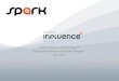 Digital Influence Group Spark - Employee Brand Ambassador Program