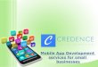 Mobile App Development services for small businesses