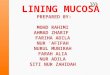 Lining Mucosa
