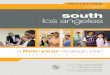 YEAR ONE:  South Los Angeles Five Year Strategic Plan