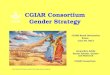Cgiar board orientation gender j ashby edit