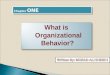 Introduction to organizational behaviour