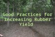 Fertilizer for rubber trees