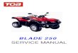 TGB Blade 250 Service Manual