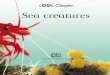 Sea Creatures -  Look Closer DK