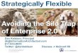 Strategic Flexibility: Avoiding the Silo Trap of Enterprise 2.0