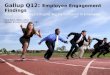 Gallup Q12's Employee Engagement Findings