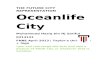 Oceanlife City Report ENBE Project 2