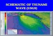 Tsunami risk reduction strategies