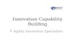 Innovation capability building perspective feb 13
